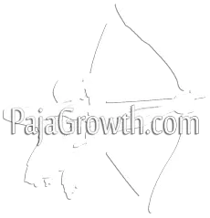 PajaGrowth.com - online-marketing, webdesign, SEO